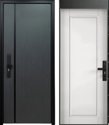 Фото Дверь Цербер 101